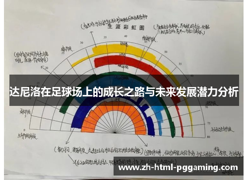 达尼洛在足球场上的成长之路与未来发展潜力分析
